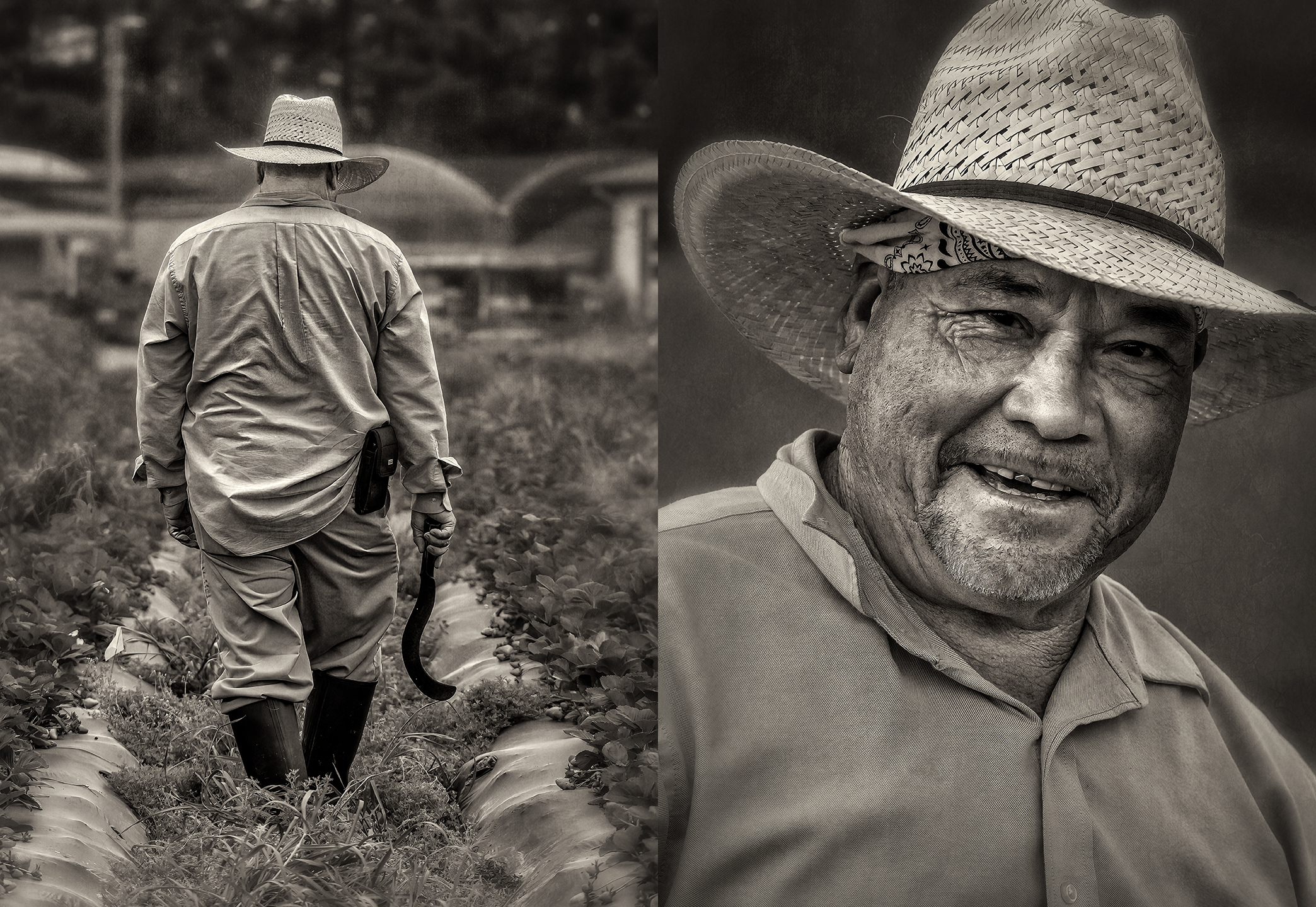 Mdan Fran Francisco – Dan Routh Photography