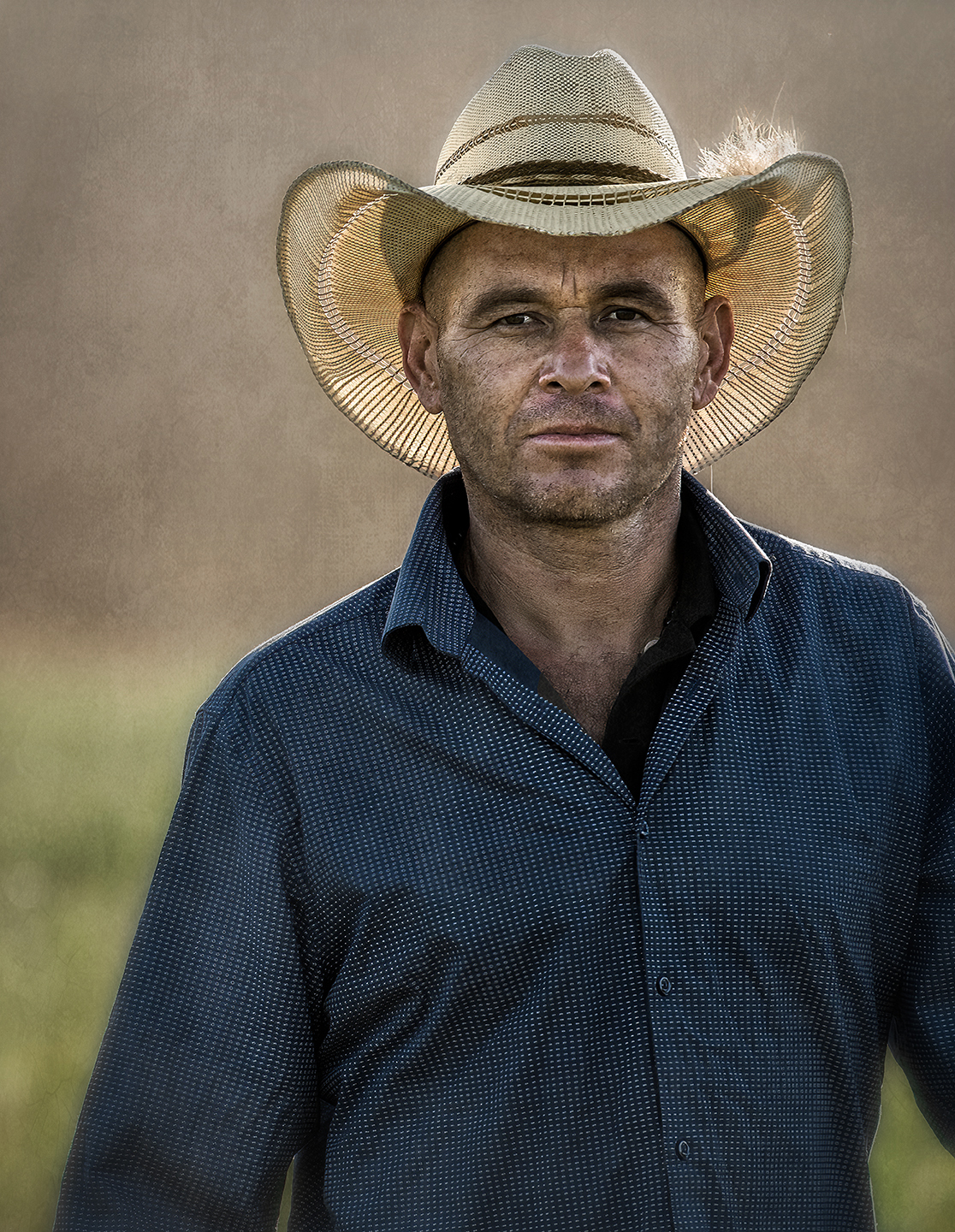 Daniel Routh Morning in the Field – Dan Routh Photography