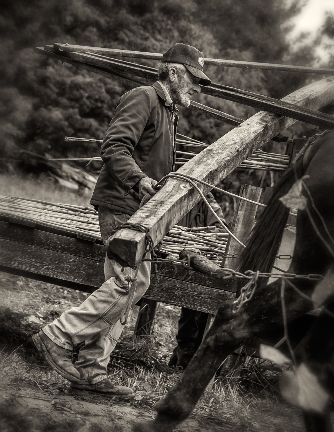 Turning the Sorghum Mill – Dan Routh Photography