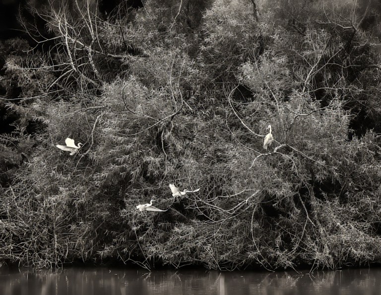 At the Farm Pond – Dan Routh Photography